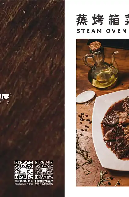 casdon凯度JJZT-B2S8-G1E JJZY-B2S8-G1E